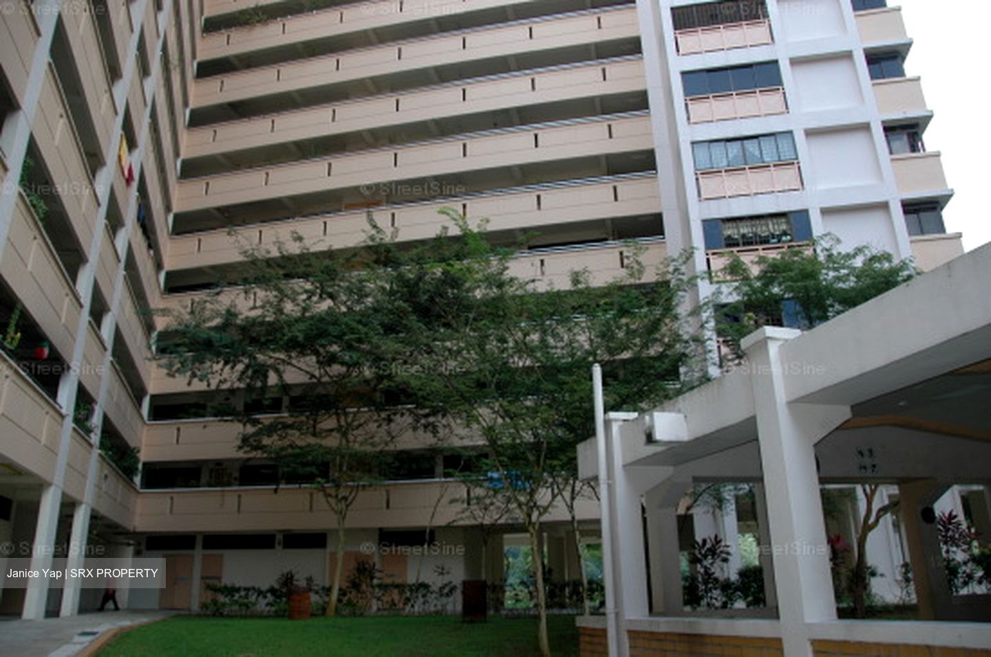 Blk 517 Pangshan Valley (Bukit Panjang), HDB Executive #606816961